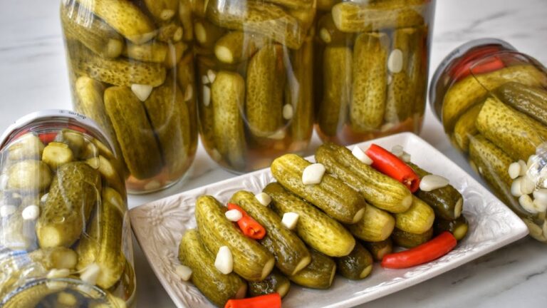 Asla Erime Yok Çıtır Çıtır Kornişon Salatalık Turşusu