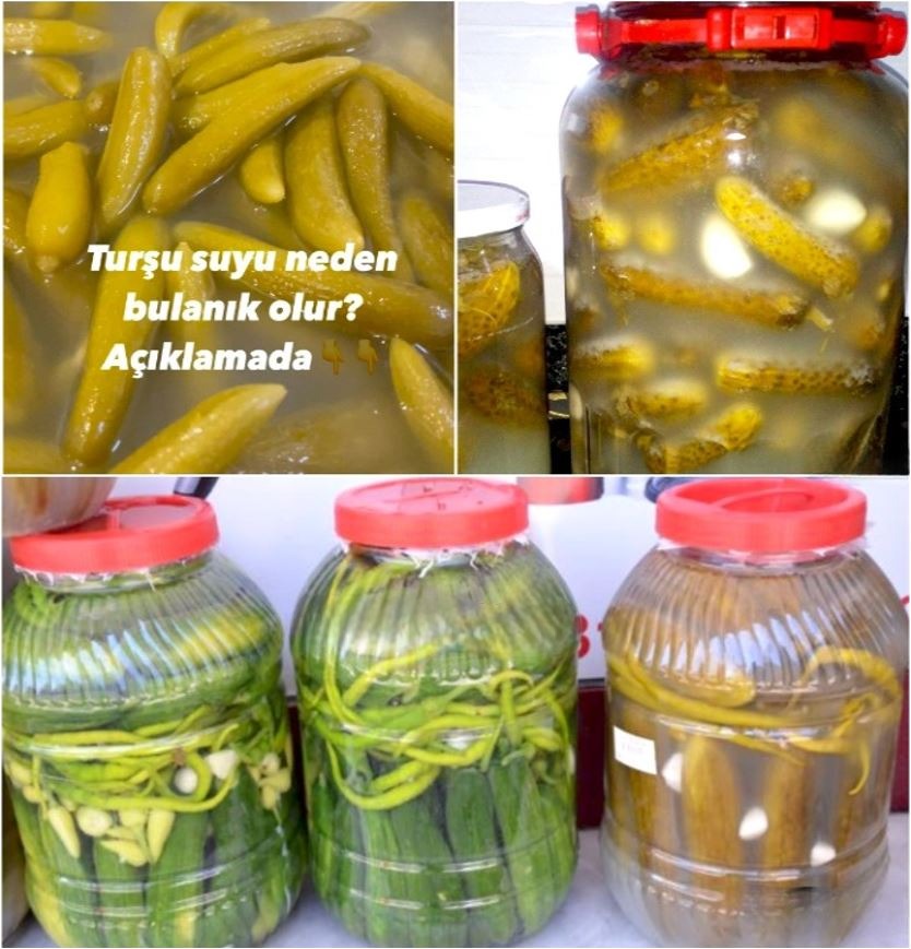 Turşu Suyu Neden Bulanık Olur?