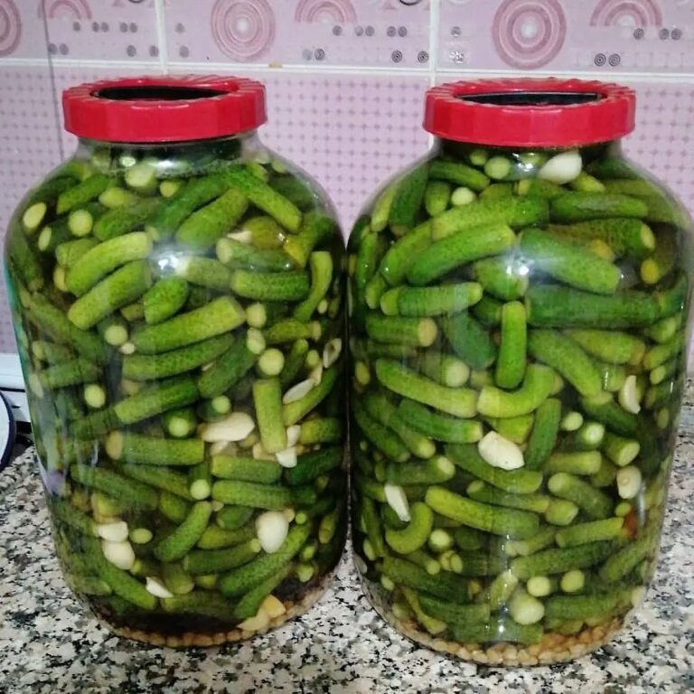 Kornişon Salatalık Turşusu