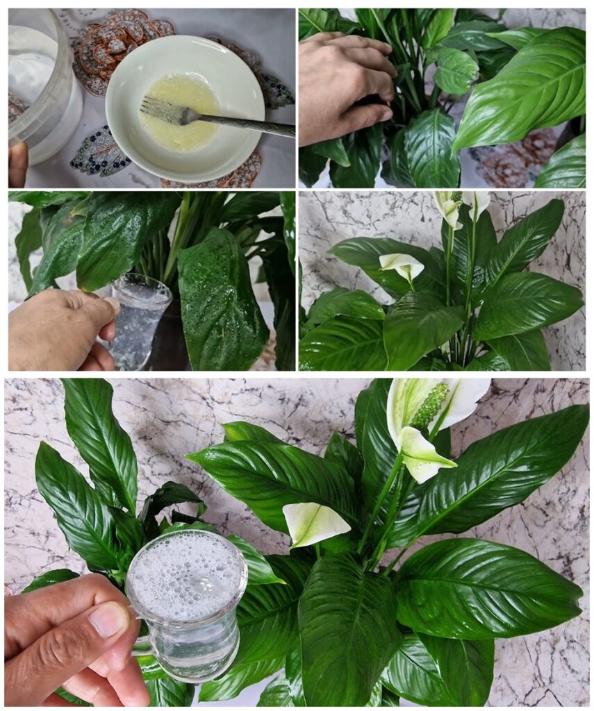 Barış Çiçeği Coşturan Doğal Karışım Tarifi