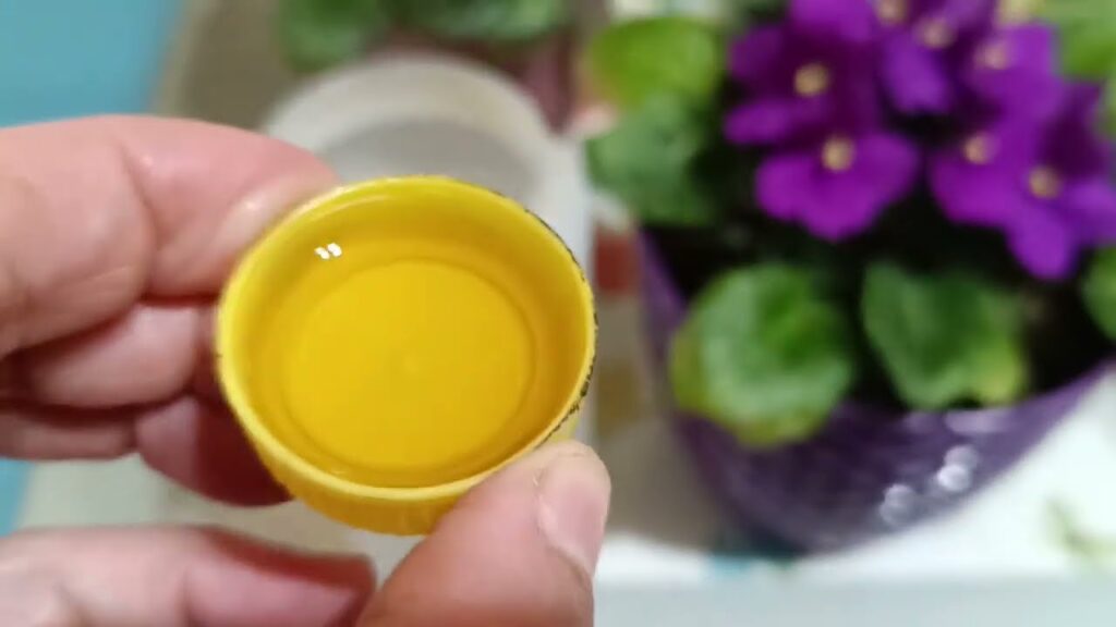 Dikkat Menekşelere Bu Kür Hemen Çiçek Açtırıyor