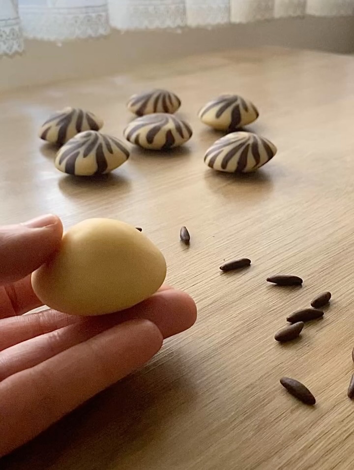 Rüzgar Gülü Kurabiyesi Tarifi