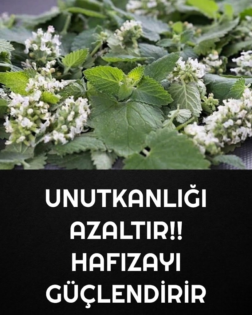 Unutkanlığı Azaltır
