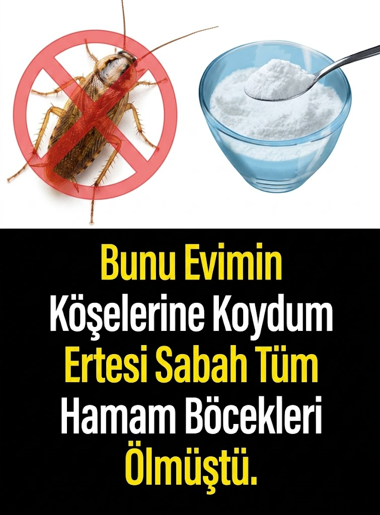 Bunu Evimin Köşelerine Koydum...