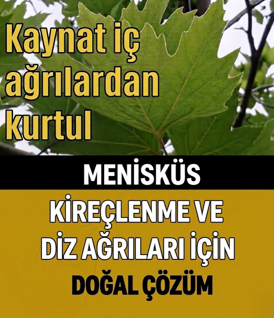 Diz ve eklem ağrılarına veda