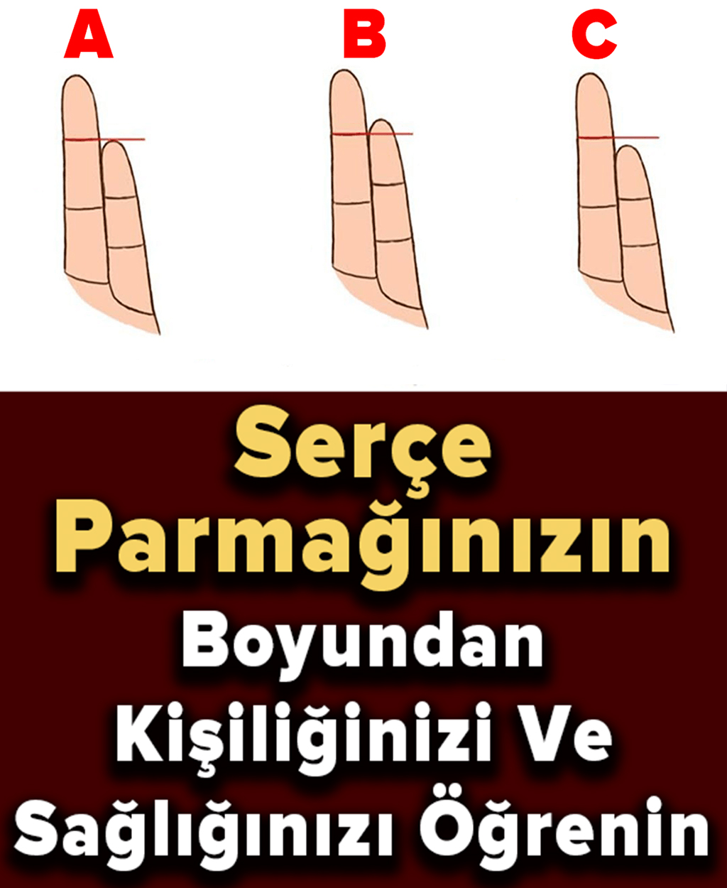 Serçe Parmağınızın Boyundan Kişiliğinizi ve Sağlığınızı Öğrenin