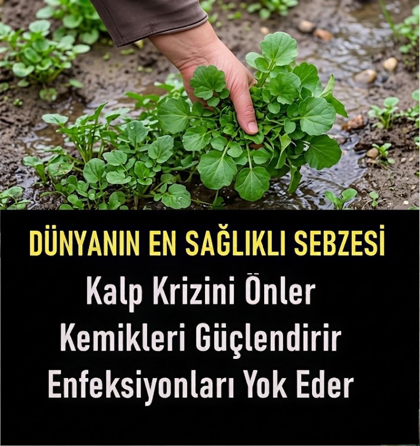 Dünyanın en sağlıklı yeşilliği belli oldu