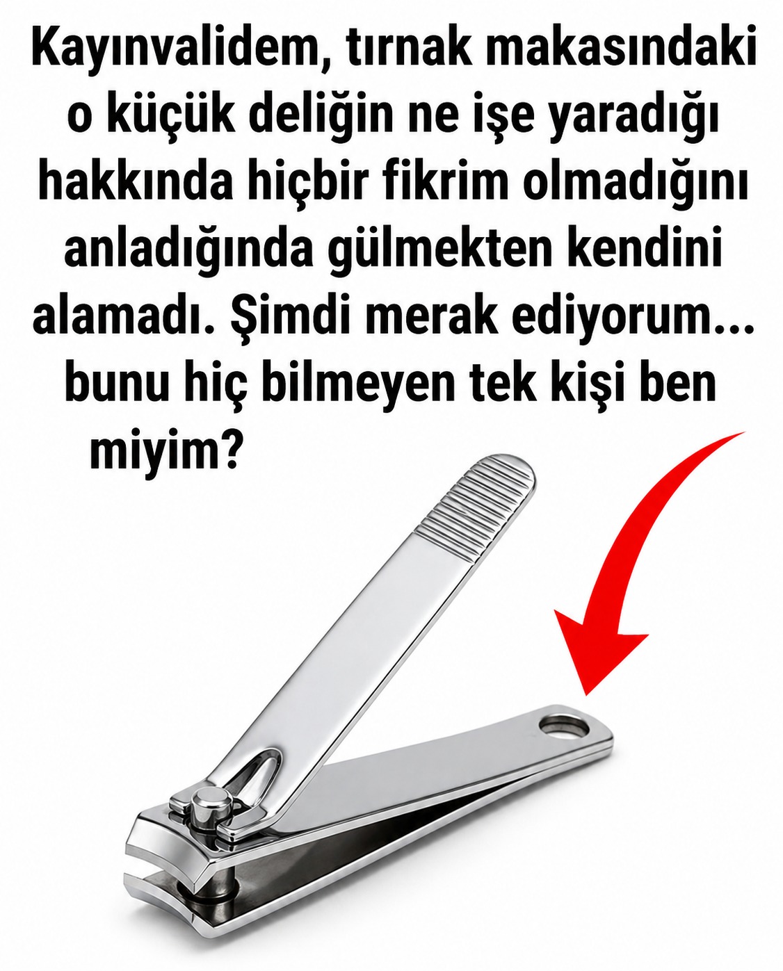 Bunun asıl amacı buymuş.